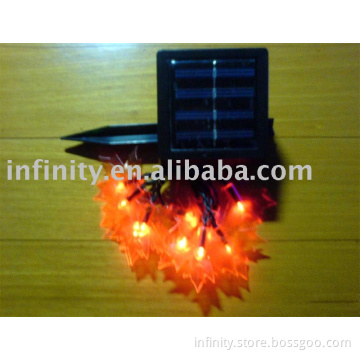 Maple Light Solar lamps (10L)